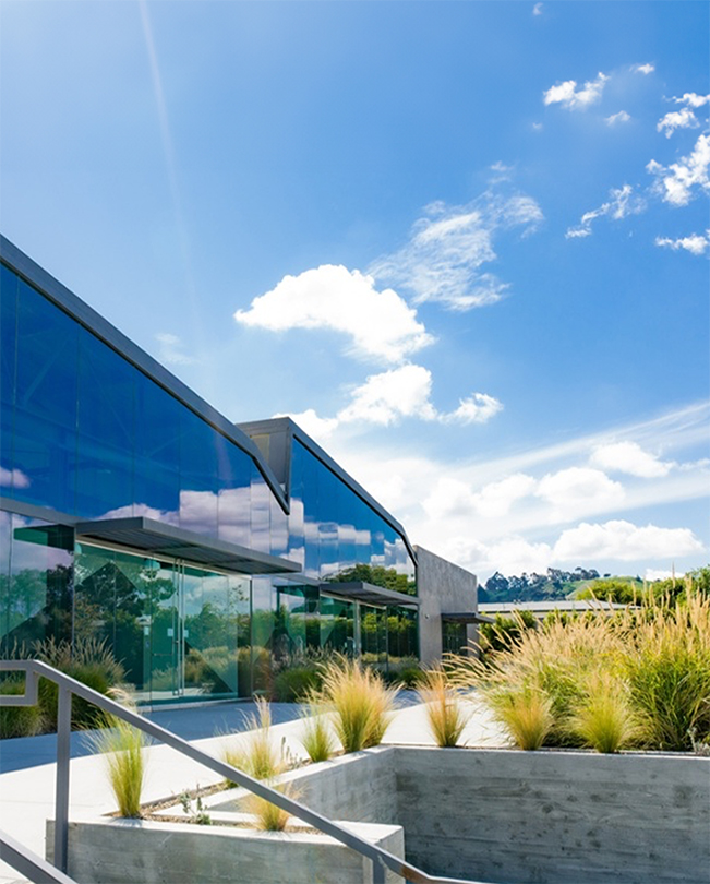 Au premier plan, une allée bordée de plantes et, à l’arrière-plan, des bureaux d’Apple aux murs de verre.