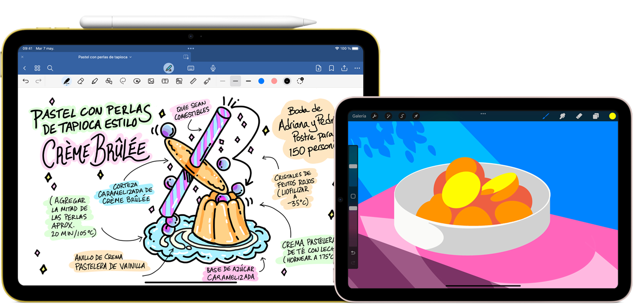 A la izquierda, un iPad de décima generación en posición horizontal muestra un trabajo gráfico con notas y un dibujo, y tiene un Apple Pencil USB-C adherido arriba. A la derecha, un iPad mini en posición horizontal muestra una ilustración colorida realizada con ProCreate.