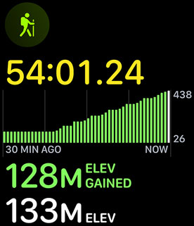 The hikiing workout displaying elevation gain.