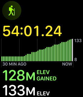 The hikiing workout displaying elevation gain.