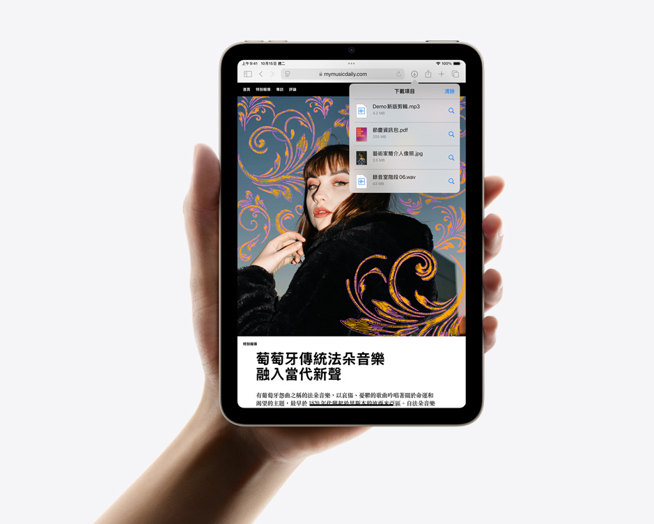 一隻手拿著 iPad mini，螢幕以直向顯示 Safari 裡的下載內容。