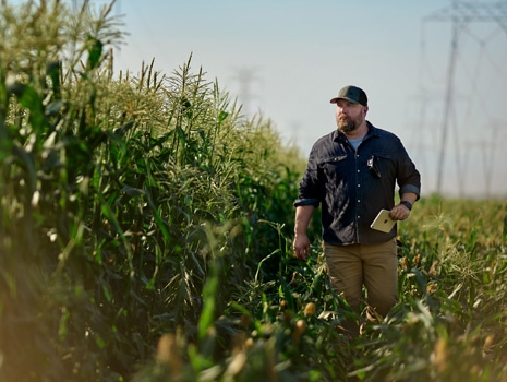 A man in a hat walking through an open field. In his hand is an iPad.