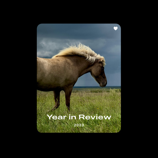 A photo of a horse demonstrates the Favorites collection in the Photos app