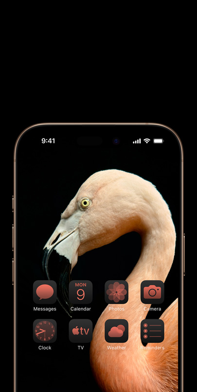 iPhone 16 Pro screen with a dynamic side-profile photo of a pink flamingo  and widgets tinted pink to match.