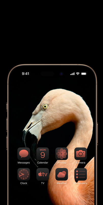 iPhone 16 Pro screen with a dynamic side-profile photo of a pink flamingo  and widgets tinted pink to match.